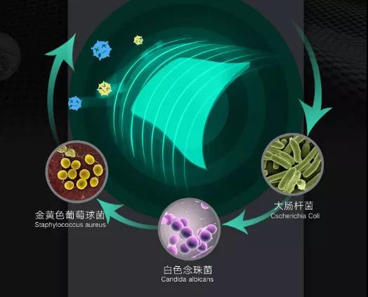 Functions and Advantages of Silver Fiber